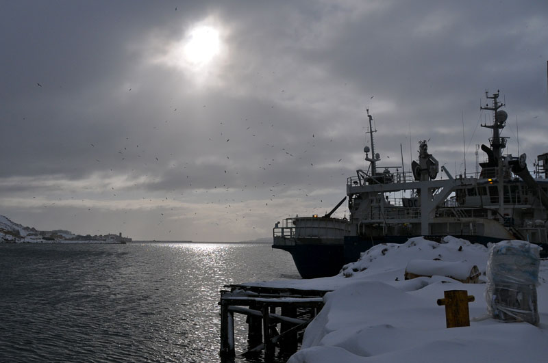 Scandinavie, Norvge, Sude, Finlande